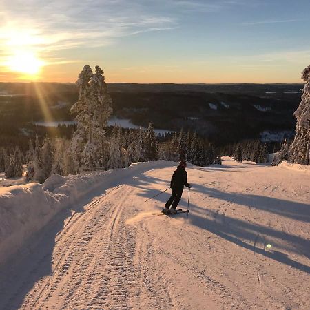 Rämsbyns Fritidsområde - Den perfekta platsen för avkoppling Villa Idkerberget Exteriör bild