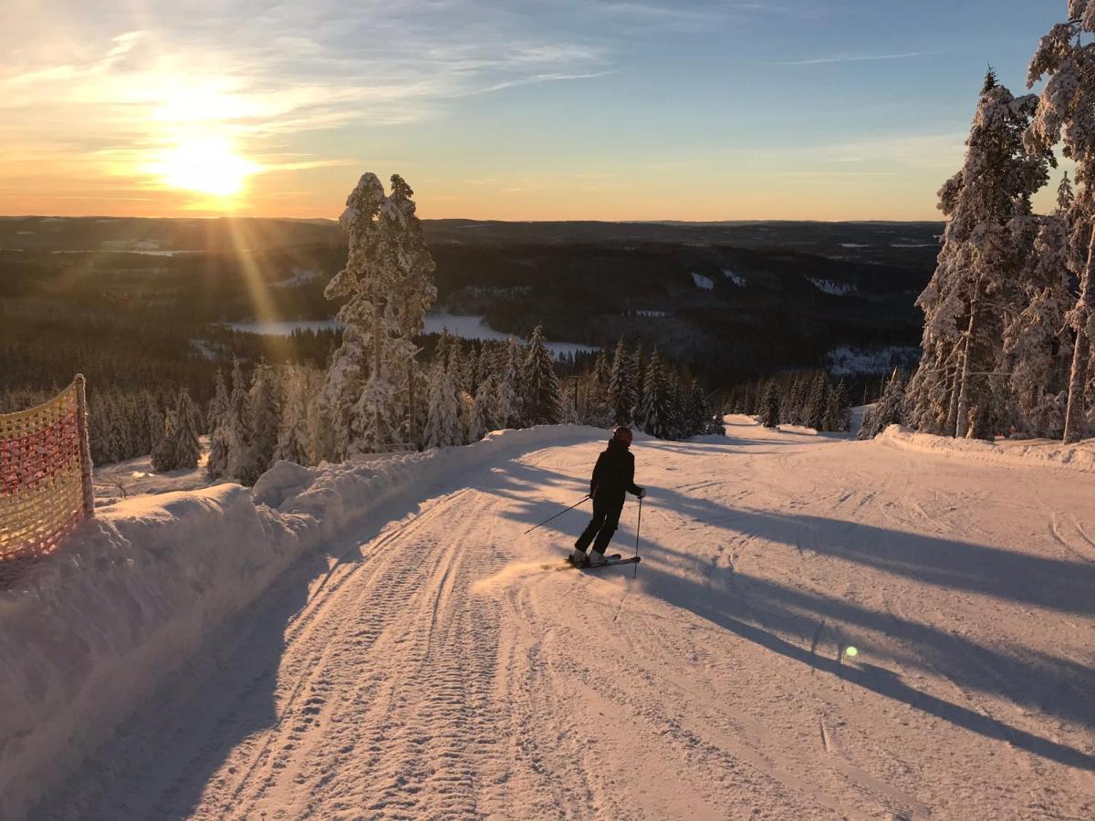 Rämsbyns Fritidsområde - Den perfekta platsen för avkoppling Villa Idkerberget Exteriör bild